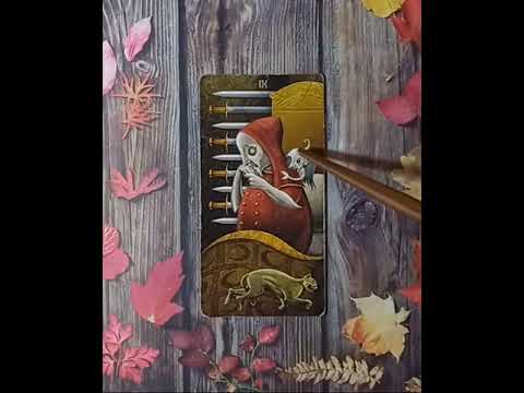 Видео: Для начинающих. Таро безумной луны .Девятка Мечей .