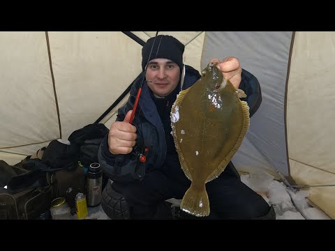 Видео: На зимней морской рыбалке в Баренцевом море / Winter sea fishing in the Barents Sea