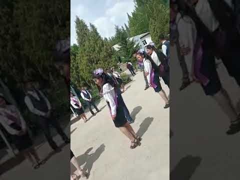 Видео: 1984-жылкы классташтардын жолугушуу кечеси. Газ айылы