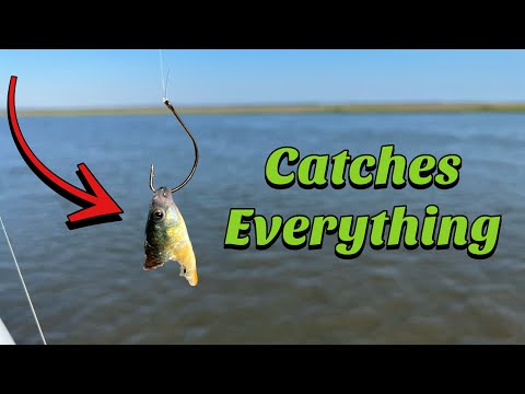 Видео: эта приманка ловит коврики... большую КАМБАЛУ