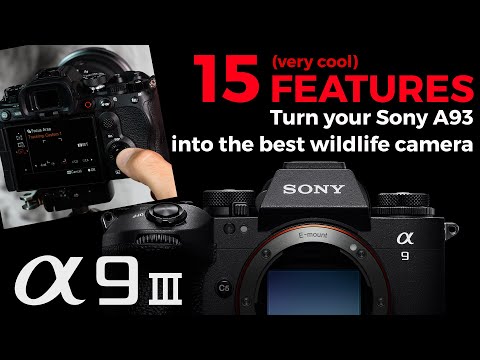 Видео: 15 функций, которые превратят вашу Sony A9iii в лучшую камеру для фотосъемки дикой природы!