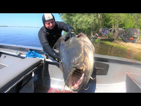 Видео: В погоне за СОМОМ!!! ОСТОРОЖНО НЕНОРМАТИВНАЯ ЛЕКСИКА, 18+