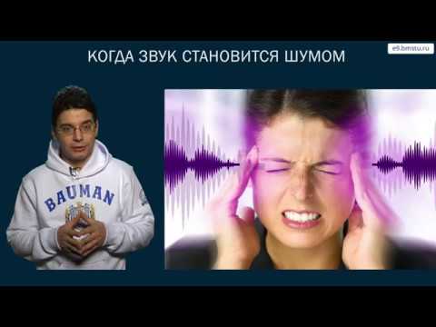 Видео: Курс БЖД. Шум. Часть 1.