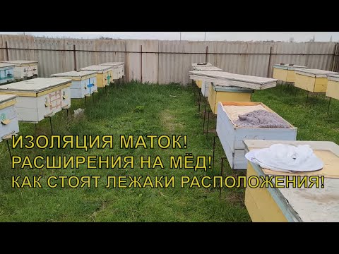 Видео: Улей ЛЕЖАК изоляция маток расширения как готовлю улей лежак под мёд🍯🐝🐝🐝