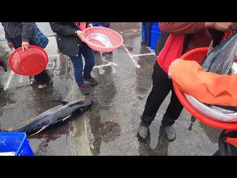 Видео: Самая щедрая награда океана! Здесь не только ждёт ещё одно «морское чудовище», но и целый букет «...