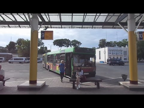 Видео: Автобус №213. АВ Витебск - Дрюково. Дачи
