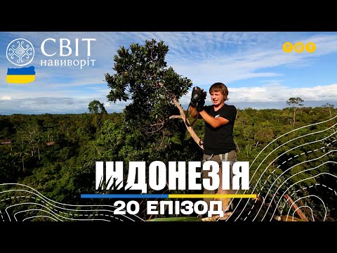 Видео: Будуємо хатинку на дереві та залаштунки програми в джунглях Папуа. Світ навиворіт 20 випуск