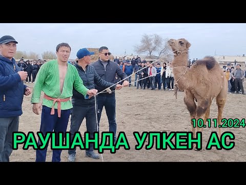 Видео: КОНЫРАТ РАЙОНЫНДА УЛКЕН АС ПАЛУАНЛАР ГУРЕСИ 10.11.2024