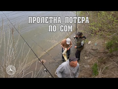 Видео: Сомот се буди - Пролетна потера по сом #рибарскавистина #fishing #catfish #som