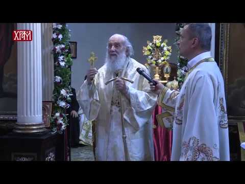 Видео: Беседа Патријарха Иринеја на празник Свете Тројице