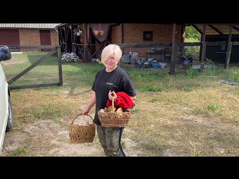 Видео: Уставшие но довольные! Сказала что бы было две,две и привез! Вы посмотрите сколько Грибов мы нашли!
