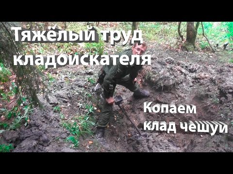 Видео: Копаем клад чешуи ( тяжелый труд кладоискателя )