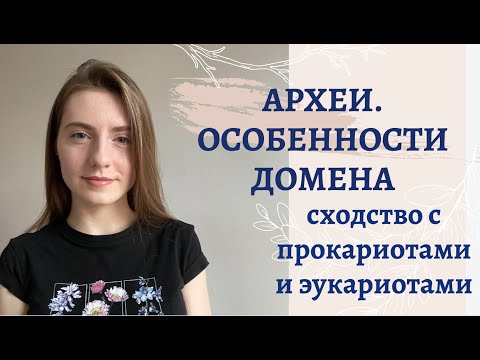 Видео: АРХЕИ - ТРЕТИЙ ДОМЕН ЖИЗНИ // ЧЕМ АРХЕИ ПОХОЖИ НА БАКТЕРИЙ И ЭУКАРИЙ