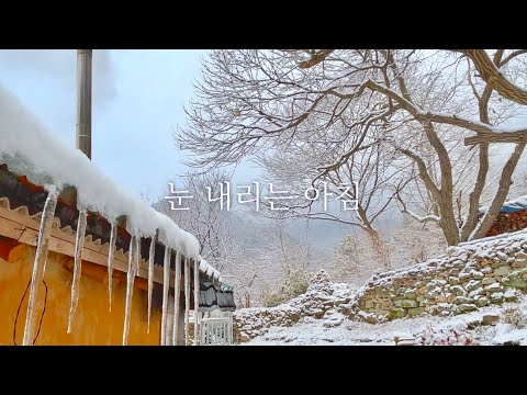 Видео: Снег падает, птицы посещают сельский дом. Кошка задается вопросом, почему они здесь.🐱🐦❄️