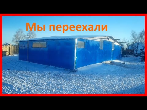 Видео: Коровник из поликарбоната. Первые сутки после заселения.