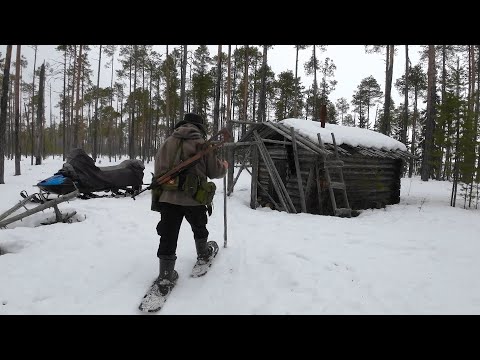 Видео: ЖИЗНЬ В ТАЁЖНОЙ ИЗБУШКЕ. ЩУКА НА ЖЕРЛИЦЫ. ЗАГОТОВИЛ ДРОВ НА ГОД. БЫТ В ИЗБУШКЕ НА КРАЮ СВЕТА