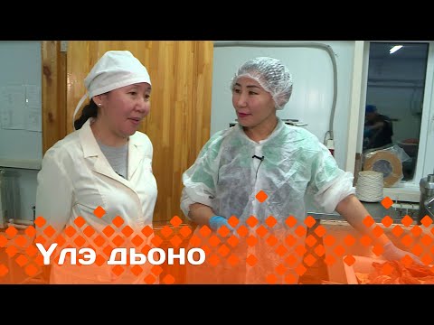 Видео: «Үлэ дьоно» (13.02.24)
