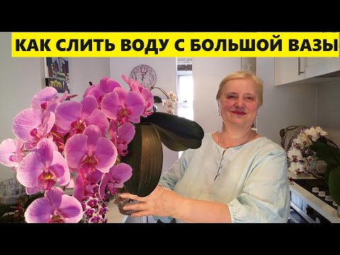 Видео: ВЫРАЩИВАНИЕ ОРХИДЕИ..КАК СЛИТЬ ВОДУ С БОЛЬШОЙ ВАЗЫ
