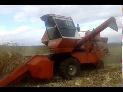 Видео: Нива СК-5м1 та ППК-4 збирання кукурудзи 2017.