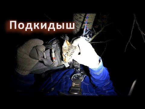Видео: Опять мелкий