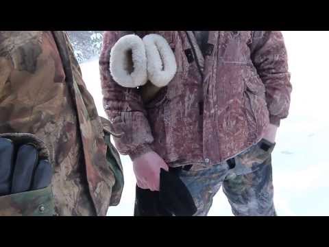 Видео: Инспектор НП "Мещера" Борман кроет матом беспредел в лесу часть 2