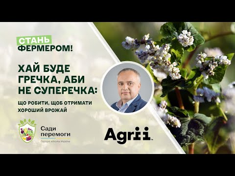 Видео: Хай буде гречка, аби не суперечка: що робити, щоб отримати хороший врожай | Стань фермером