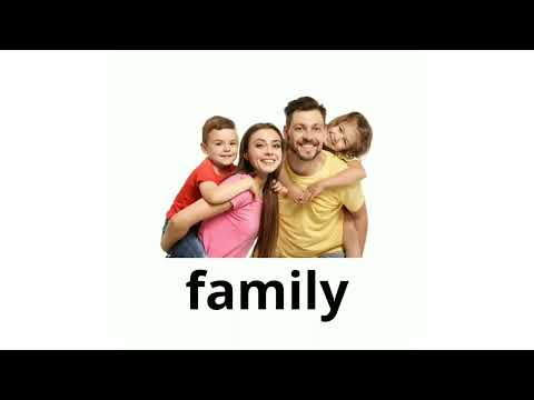 Видео: Англис тили сөздүгү сүрөттөрү менен.