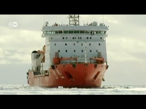 Видео: Китайский ледокол-спаситель сам оказался в ледяном плену