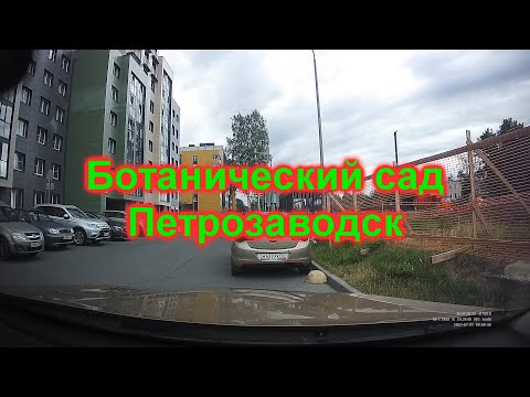 Видео: Ботанический сад Петрозаводска