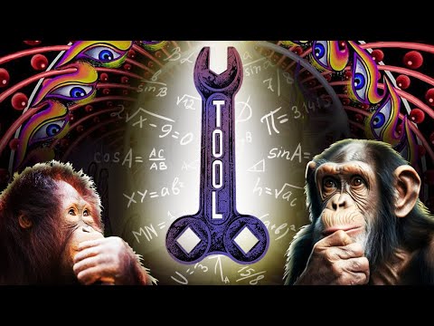 Видео: Tool. Кроляча нора, в яку легко зайти і неможливо вийти.