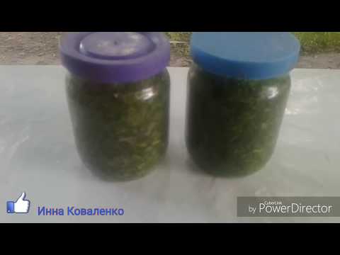 Видео: 💰Заготовка щавеля на зиму по деревенски