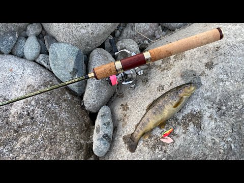 Видео: Бешеный клев форели. Рыбалка с gofishing. Trout time.