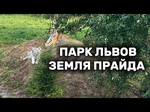Видео: ПАРК ЛЬВОВ «ЗЕМЛЯ ПРАЙДА» на новом месте.