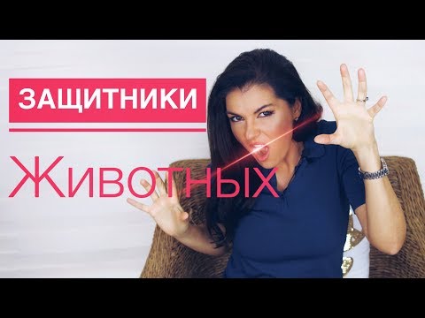 Видео: ЗАЩИТНИКИ ЖИВОТНЫХ КТО ОНИ / ПСИХОЛОГИЯ ЗЕЛЕНЫХ