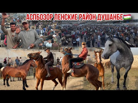 Видео: Аспбозор Ленские Душанбе 🇹🇯 11 июня 2025 г.