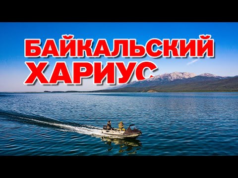 Видео: Рыбалка на хариуса. Байкал. Ловим, пока нет медведя.