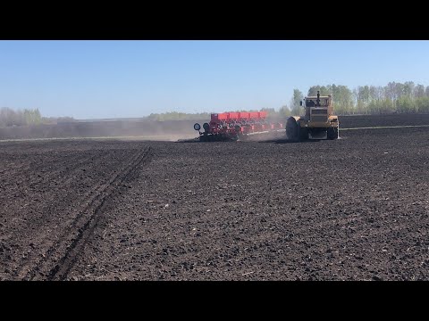 Видео: Трактор кировец и пятимодульный посевной комплекс СКП-2.1 Д