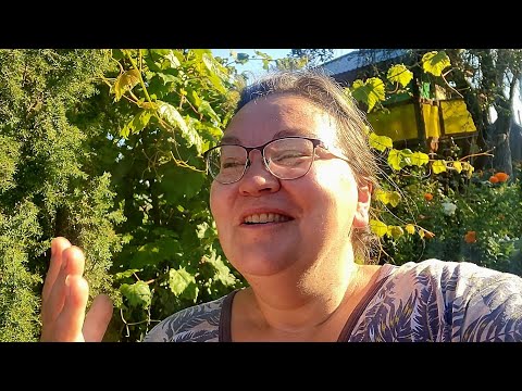 Видео: СОВСЕМ ОДНА В ДЕРЕВНЕ