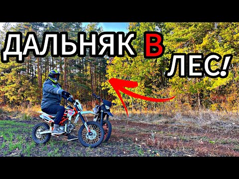 Видео: ПОКАТУШКА В ЛЕС НА ПИТБАЙКАХ! СЕКТАНТЫ В ЛЕСУ! ДАЛЬНЯК 50км! 