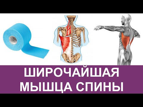 Видео: Кинезиотейпирование широчайшей мышцы спины