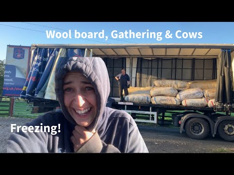 Видео: Всё это за день работы! (Или два!)