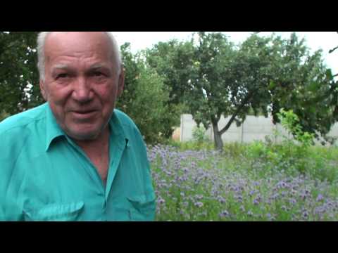 Видео: Результаты сезона в лежаках Николая Клишевича из Солигорска