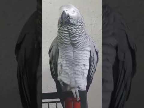 Видео: Суббота! Концерт выходного дня.