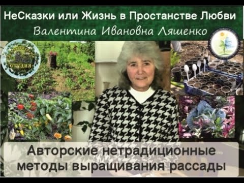 Видео: Авторский метод нетрадиционного выращивания рассады. Валентина Ивановна Ляшенко