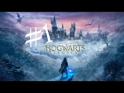 Видео: Hogwarts Legacy прохождение #1