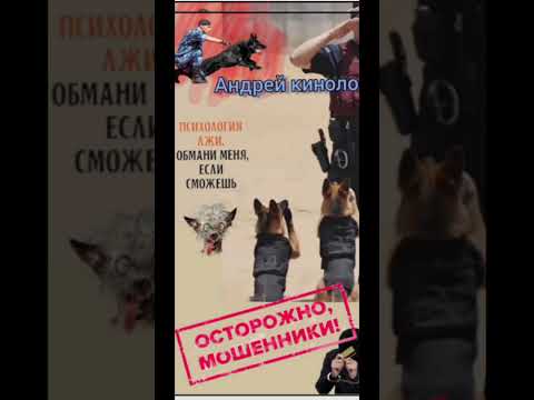 Видео: Майданутые звонилки!
