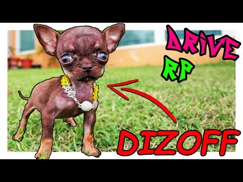 Видео: СТАЛ СОБАКОЙ НА РП СЕРВЕРЕ - ГТА 5 РП, DRIVE RP