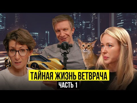 Видео: ИСТОРИИ ВЕТЕРИНАРИИ "НА ДОМУ"