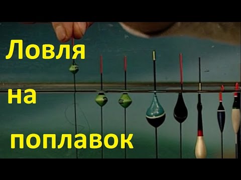 Видео: Диалоги о рыбалке - 216 - Ловля на поплавок.