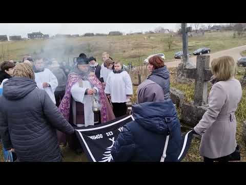 Видео: Успамін усіх памерлых вернікаў